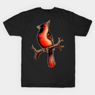 Red Cardinal bird male T-Shirt